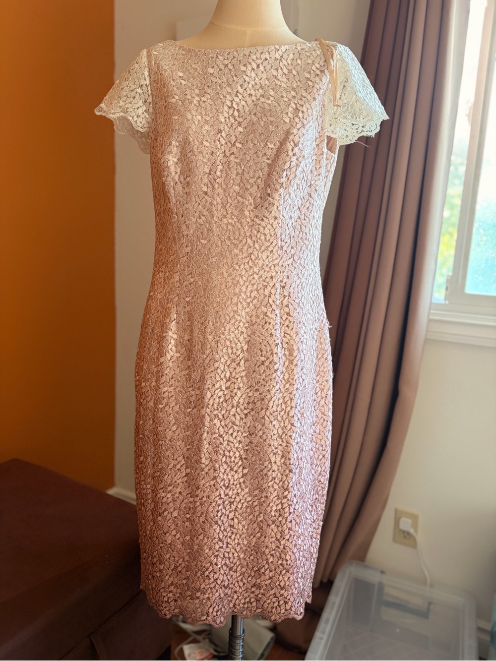 Ombré Pink Elegant Blush Lace Sheath Dress - Short Sleeve